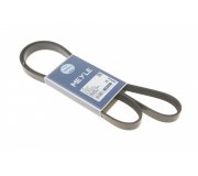 Ремінь генератора (1555мм) Ford Focus 3 / Форд Фокус 3 1.6 (бензин) 2011-2018 0500061555 MEYLE (Німеччина)