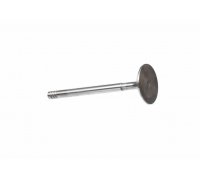 Клапан впускной Ford Connect 1.8TDCi / 1.8Di 2002-2013 1113197 FORD (США)