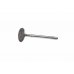 Клапан впускной Ford Connect 1.8TDCi / 1.8Di 2002-2013 1113197 FORD (США) - Фото №2