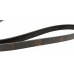Ремень генератора (без кондиционера) Ford Connect 1.8TDCi / 1.8Di 2002-2013 1987947948 BOSCH (Германия) - Фото №3