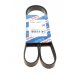 Ремень генератора (без кондиционера) Ford Connect 1.8TDCi / 1.8Di 2002-2013 1987947948 BOSCH (Германия) - Фото №1