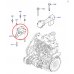 Подушка двигуна передня права (з кронштейном) Ford Connect 1.8TDCi / 1.8Di 2002-2013 RH11-4013 REINHOCH (Польща) - Фото №3