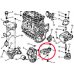 Подушка двигателя задняя Peugeot Partner / Citroen Berlingo 1.6HDi 1996-2011 80001883 CORTECO (Италия) - Фото №2
