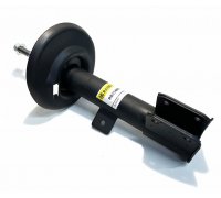 Амортизатор передній Citroen C4 Picasso / Сітроен C4 Пікассо 2006-2013 RS314888 RAISO (Швеція)