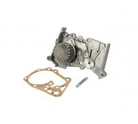 Помпа / водяной насос Renault Scenic II / Рено Сценик 2 1.4 (бензин) / 1.6 (бензин) 2003-2009 4314100500 JP GROUP (Дания)