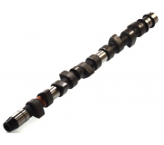 Распределительный вал VW Crafter 2.5TDI 2006- CAM442 AE (США)