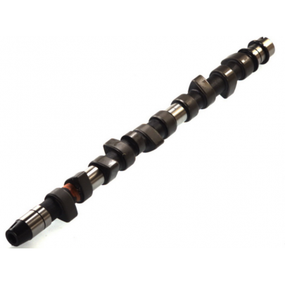 Распределительный вал VW Crafter 2.5TDI 2006- CAM442 AE (США)