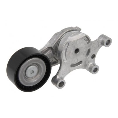 Натяжитель ремня генератора Citroen C4 Picasso / Ситроен C4 Пикассо 1.6HDi 2006-2013 534007520 INA (Германия)