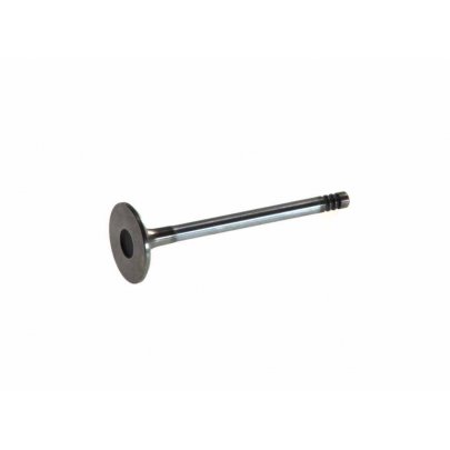 Клапан впускной Ford Connect 1.8TDCi / 1.8Di 2002-2013 6143/SCR FRECCIA (Италия)