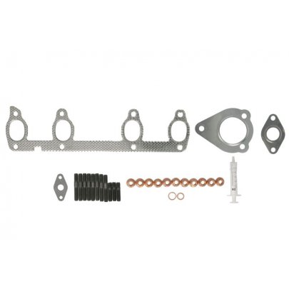 Комплект прокладок турбины Volkswagen Sharan / Фольксваген Шаран 1.9TDI 1995-2010 EVMK0231 EVORON (Польша)