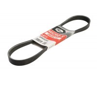 Ремені генератора Citroen C4 Picasso / Сітроен C4Пікассо 1.6 (бензин) 2006-2013 6PK903XS GATES (Бельгія)