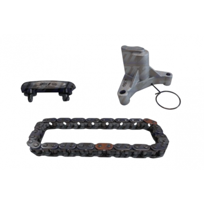 Комплект ланцюга ГРМ (UKDB / TYDA / TXDB / UFDB) Ford Focus 3 / Форд Фокус 3 2.0TDCi 2011-2018 SKCC017 DOLZ (Іспанія)