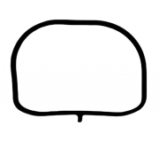 Прокладка колектора впускного Ford Focus 3 / Форд Фокус 3 2.0 (бензин) 2011-2018 JD6117 PAYEN (США)