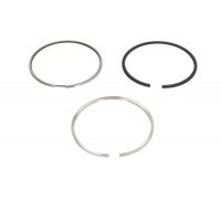 Комплект поршневых колец Ford C‑MAX 2 / Форд С Макс 2 1.6TDI 2010–2019 800109010000 KOLBENSCHMIDT (Германия)