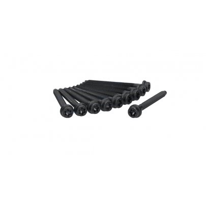 Болти головки двигуна (комплект) Ford Connect 1.8 (бензин) 2002-2013 81008700 AJUSA (Іспанія)