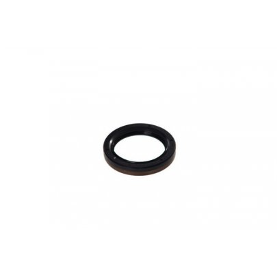 Сальник полуоси (40x55 / 62x13) Ford Connect 2002-2013 855010036 TRISCAN (Дания)