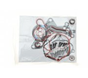 Ремкомплект вакуумного насоса Volkswagen Sharan / Фольксваген Шаран 2.0TDI 1995-2010 91147E MEAT and DORIA (Италия)
