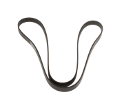 Ремень генератора (1555мм) Ford Focus 3 / Форд Фокус 3 1.6 (бензин) 2011-2018 1760373 FORD (США)