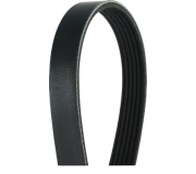 Ремінь генератора (1555мм) Ford Focus 3 / Форд Фокус 3 1.6 (бензин) 2011-2018 J1061555 JAKOPARTS (Німеччина)