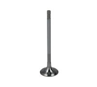 Клапан впускной BMW 5 F10/F11 / БМВ 5 Ф10/Ф11 3.0d 2009-2017 6620/SCR FRECCIA (Италия)