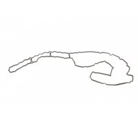 Прокладка кришки клапанів BMW 5 F10/F11 / БМВ 5 Ф10/Ф11 3.0 (бензин) 2009-2017 740.290 ELRING (Німеччина)