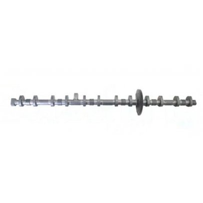 Ексцентриковий вал BMW 5 F10/F11 / БМВ 5 Ф10/Ф11 3.0 (бензин) N55 2009-2017 B12296 BORSEHUNG (Німеччина)