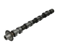 Розподільний вал (впуск) Citroen C4 Picasso / Сітроен C4Пікассо 2.0HDi 2006-2013 CAM748 AE (США)