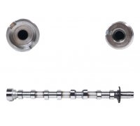 Розподільний вал (випуск) Citroen C4 Picasso / Сітроен C4Пікассо 2.0HDi 2006-2013 CM05-2175 FRECCIA (Італія)