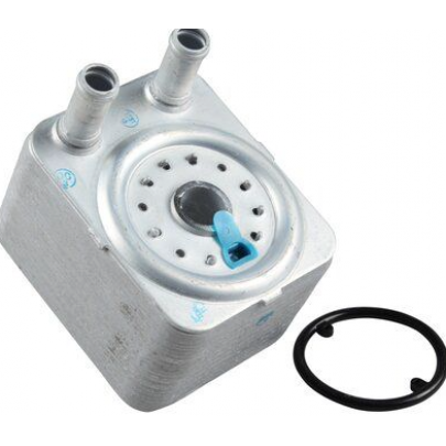 Радіатор масляний / теплообмінник (65x98x120) Volkswagen Passat B6 / Фольксваген Пассат Б6 3.2FSI / 3.6FSI 2005-2010 CO0101 BGA (Великобританія)