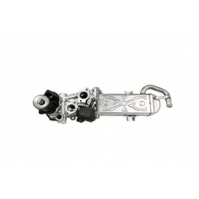 Клапан EGR рециркуляции отработанных газов (с радиатором) VW Caddy IV 1.6TDI / 2.0TDI 2015- EGR12-114 FRECCIA (Италия)