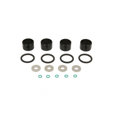 Ремкомплект форсунки Ford C‑MAX 2 / Форд С Макс 2 2.0TDI 2010–2019 ENT250503 ENGITECH (Польша)