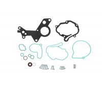 Ремкомплект вакуумного насоса Volkswagen Sharan / Фольксваген Шаран 2.0TDI 1995-2010 ENT410002 ENGITECH (Польша)