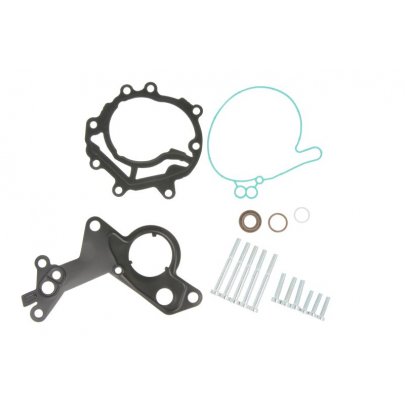 Ремкомплект вакуумного насоса Volkswagen Sharan / Фольксваген Шаран 2.0TDI 1995-2010 ENT410003 ENGITECH (Польша)