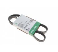 Ремінь генератора (1205мм) Renault Megane 3 / Рено Меган 3 1.5dCi 2008-2016 FB6PK1203 INA (Німеччина)