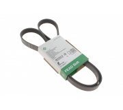 Ремінь генератора (1555мм) Ford Focus 3 / Форд Фокус 3 1.6 (бензин) 2011-2018 FB6PK1555 INA (Німеччина)