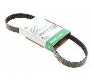 Ремінь генератора (800мм, без кондиціонера) Ford Focus 3 / Форд Фокус 3 1.5TDCi / 1.6TDCi 2011-2018 FB6PK800 INA (Німеччина)