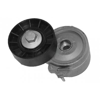 Натягувач ременя генератора (70x25) Fiat Ducato / Citroen Jumper / Peugeot Boxer 2.0JTD / 2.0HDI 1994-2006 04807 METALCAUCHO (Іспанія)