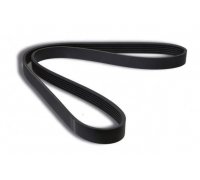 Ремінь генератора (1100мм) Fiat Ducato / Citroen Jumper / Peugeot Boxer 2.8D / 2.8TD / 2.8JTD / 2.8HDi 1994-2006 1606347380 EUROREPAR (Туреччина)