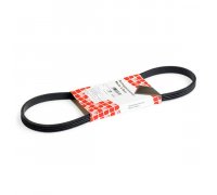 Ремінь генератора (755мм) Fiat Ducato / Citroen Jumper / Peugeot Boxer 2.0JTD / 2.0HDI 1994-2006 39781 FEBI (Німеччина)