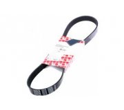 Ремінь генератора (870мм) Fiat Ducato / Citroen Jumper / Peugeot Boxer 2.0JTD / 2.0HDI 1994-2006 39802 FEBI (Німеччина)