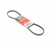 Ремінь генератора (865мм) Citroen Jumper / Peugeot Boxer 2.5D / 2.5TDi / 2.5TD 1994-2006 3PK865 GATES (Бельгія)