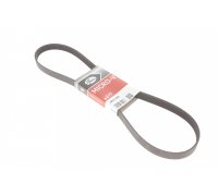 Ремінь генератора (1183мм) Fiat Ducato / Citroen Jumper / Peugeot Boxer 2.0JTD / 2.0HDI 1994-2006 6PK1183 GATES (Бельгія)