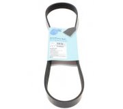 Ремінь генератора (870мм) Fiat Ducato / Citroen Jumper / Peugeot Boxer 2.0JTD / 2.0HDI 1994-2006 AD06R870 BLUE PRINT (Польща)