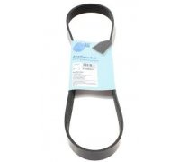 Ремінь генератора (870мм) Fiat Ducato / Citroen Jumper / Peugeot Boxer 2.0JTD / 2.0HDI 1994-2006 AD06R870 BLUE PRINT (Польща)