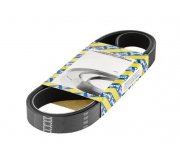 Ремінь генератора (1180мм) Fiat Ducato / Citroen Jumper / Peugeot Boxer 2.0JTD / 2.0HDI 1994-2006 CA6PK1180 SNR (Франція)