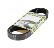 Ремінь генератора (1100мм) Fiat Ducato 2.5D / 2.5TD / 2.5TDI 1994-2006 CA5PK1100 SNR (Франція)