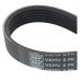 Ремінь генератора (915мм) Citroen Jumper / Peugeot Boxer 2.5D / 2.5TDi / 2.5TD 1994-2006 VKMV6PK915 SKF (Франція) - Фото №1