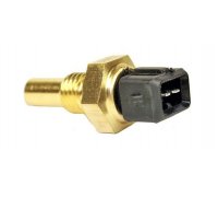 Датчик температуры охлаждающей жидкости (2 контакта, черный) Fiat Ducato / Citroen Jumper / Peugeot Boxer 1994-2006 0905012 METZGER (Германия)