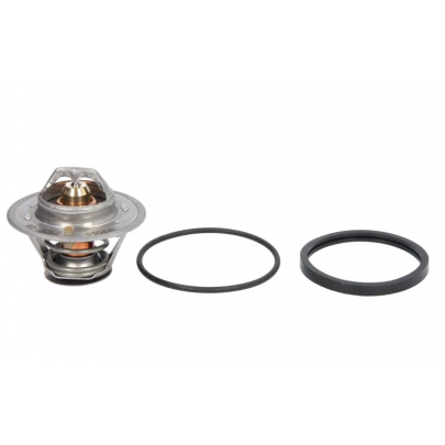 Термостат (79°C, с уплотнителем) Fiat Ducato 2.5D / 2.5TD / 2.5TDI 1994-2006 TH3309.79J VERNET (Франция)