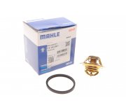 Термостат (88°C, з ущільнювачем) Fiat Ducato / Citroen Jumper / Peugeot Boxer 2.0 (бензин) 1994-2006 TX8888D MAHLE (Австрія)